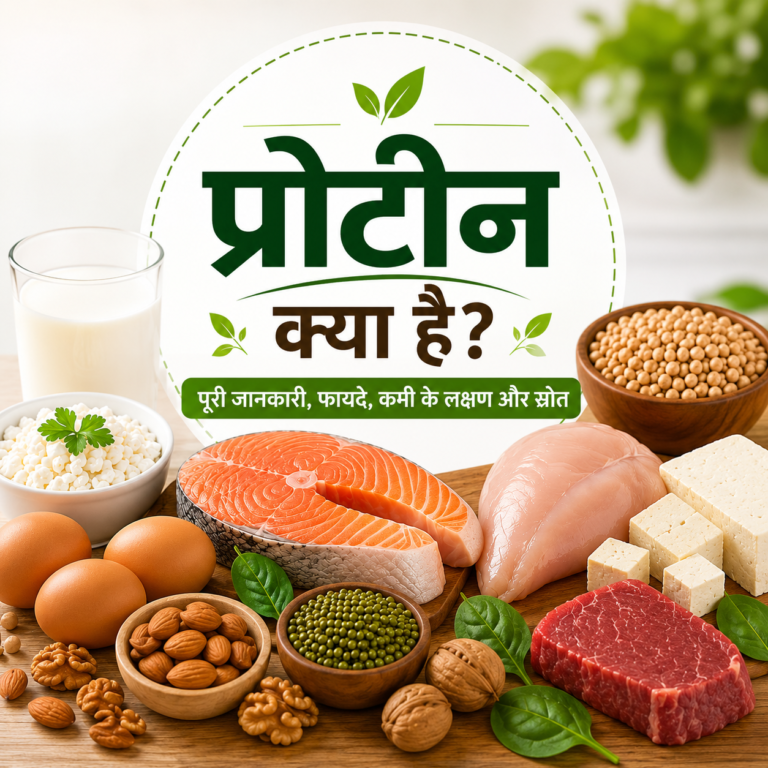 प्रोटीन क्या है? 10 चौंकाने वाले फायदे, कमी के लक्षण और प्रोटीन स्रोत